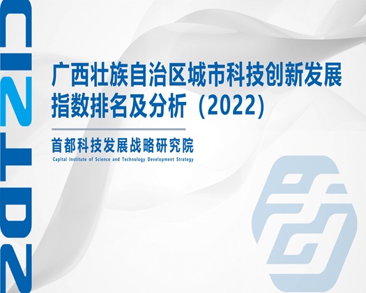 逼逼被男人抽插操日干【成果发布】广西壮族自治区城市科技创新发展指数排名及分析（2022）